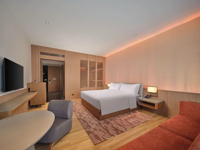 غرفة بسرير كينج لذوي الإعاقة، Hilton Altay Hemu 2/4