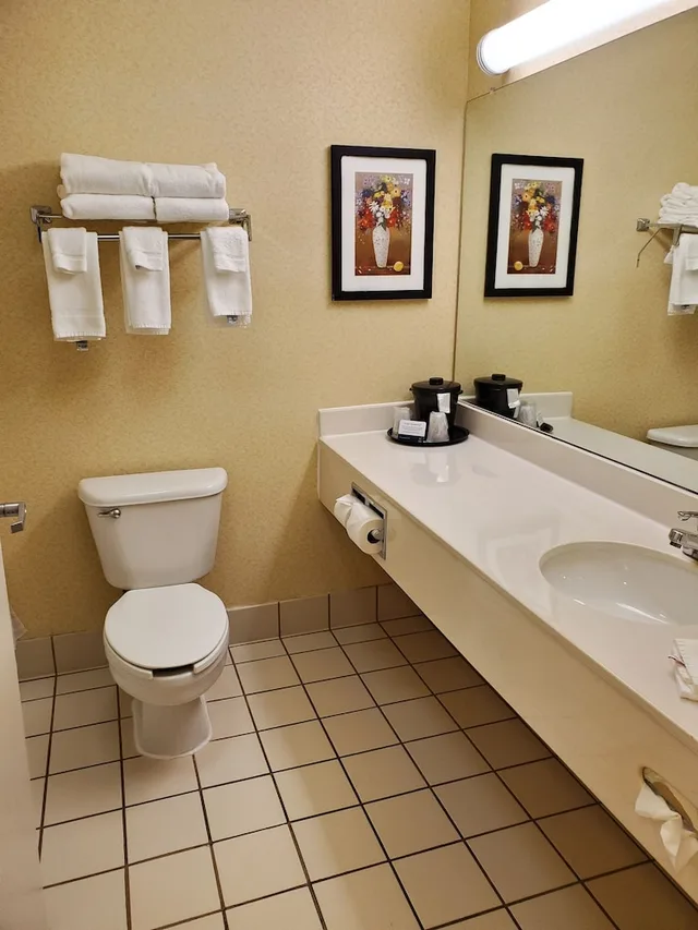 Room, King Bed, Wingate by Wyndham Uniontown 3/3