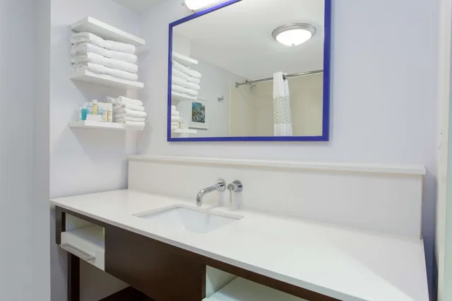 Studio, King Bed, Accessible, Hampton Inn & Suites Albany-Airport 3/3