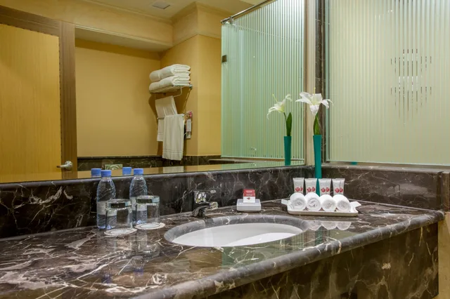 غرفة ديلوكس مفردة، ويندام جاردن الدمام(Wyndham Garden Dammam Hotel) 12/12