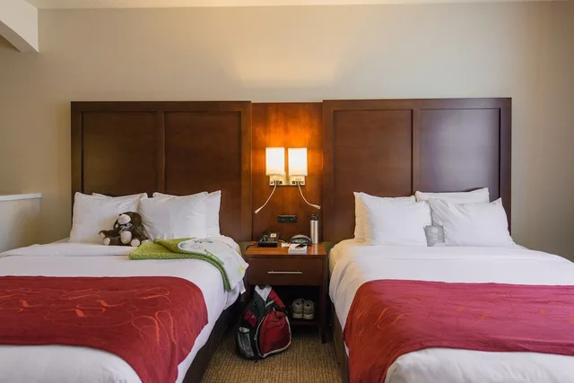 Studio, Suite, 1 Single and 2 Queen Beds, Comfort Suites Springfield RiverBend Medical 4/8
