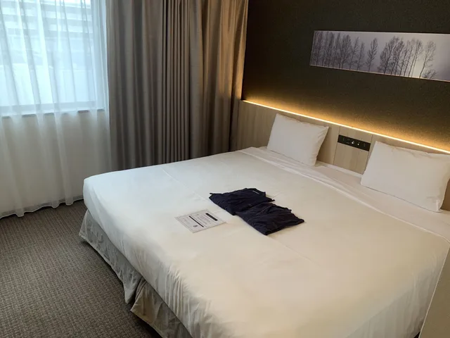 غرفة ديلوكس بسرير كينج، hotel MONday Premium TOYOSU 3/5