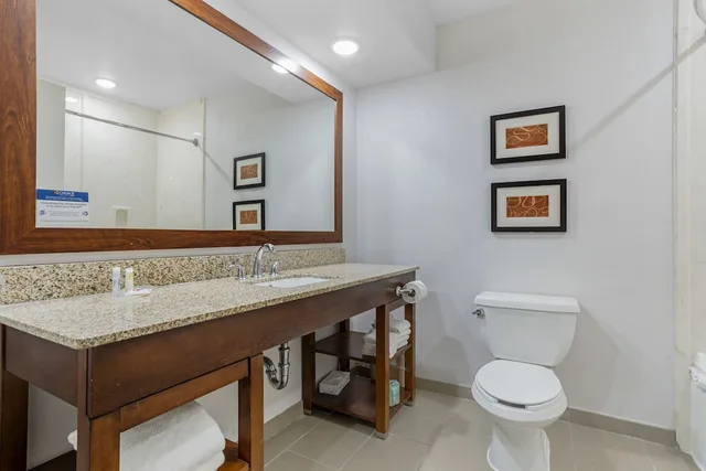 جناح بسرير كينج مع أريكة لذوي الإعاقة، Comfort Suites Houston NW - Vintage Park 6/7