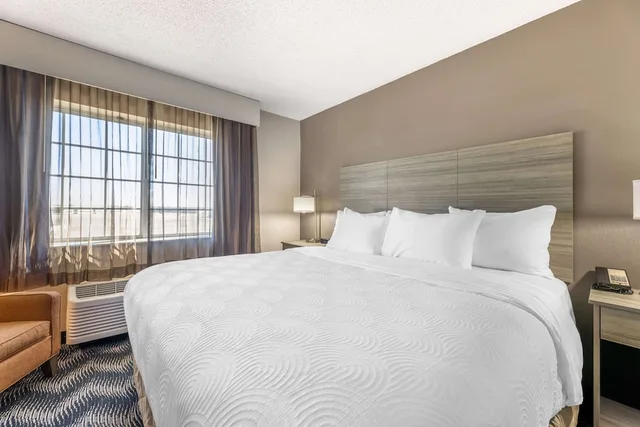 جناح عائلي بسرير كينج مع أريكة، Country Inn & Suites by Radisson, Bolingbrook - Romeoville, I-55 1/1