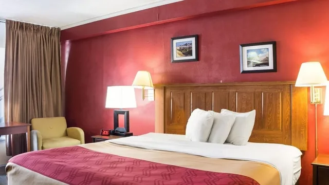 غرفة قياسية بسرير كينج، Econo Lodge Wall, SD 1/2