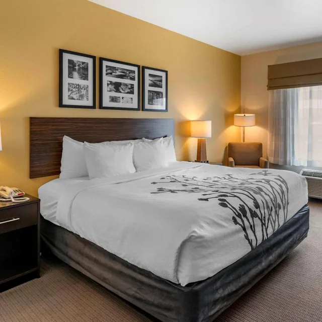 Standard, King Bed, Accessible, Sleep Inn & Suites Miles City I-94 2/4