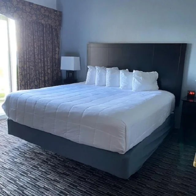 جناح تنفيذي، Lakeside Resort and Conference Center 2/5