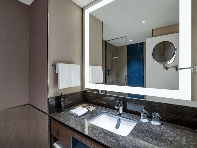 غرفة قياسية بسريرين منفصلين، Tbilisi Philharmonic by Mercure Hotel 6/9
