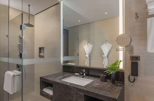 DLuxe Room Twin City View، Dusitd2 Davao 3/6