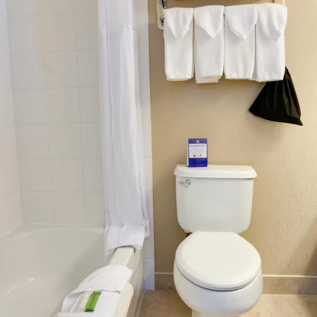 جناح بسرير كوين بجاكوزي، Best Western Plus Suites Downtown 8/10