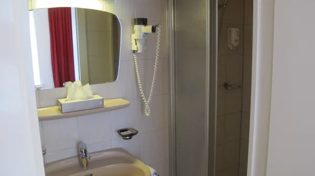 غرفة قياسية مفردة بسرير مزدوج، Hotel Alpina Luzern 3/3