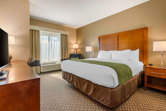 غرفة بسرير كينج، Comfort Inn & Suites Florence Center Area 3/7