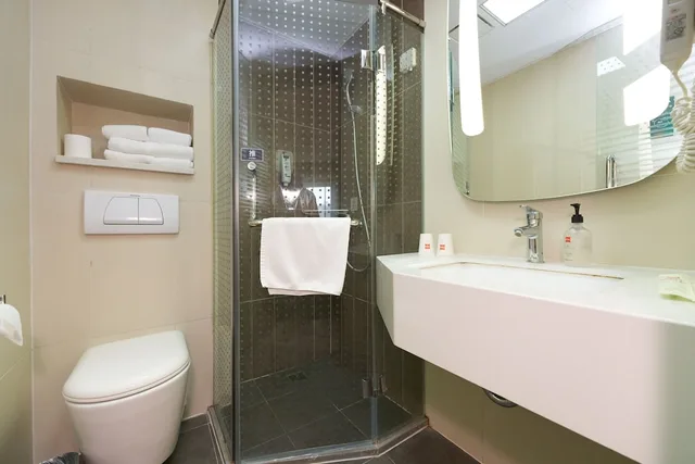 Business, Double Bed, Ibis Beijing Changying 5/5