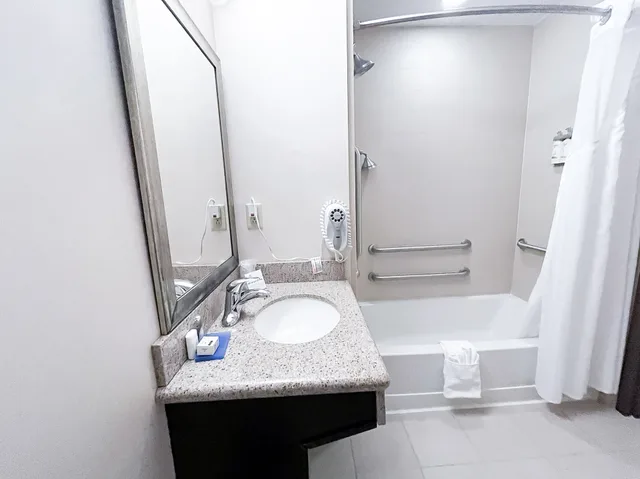 Suite, Accessible, Holiday Inn Express Hotel And Suites Morton Peoria Area 1/1