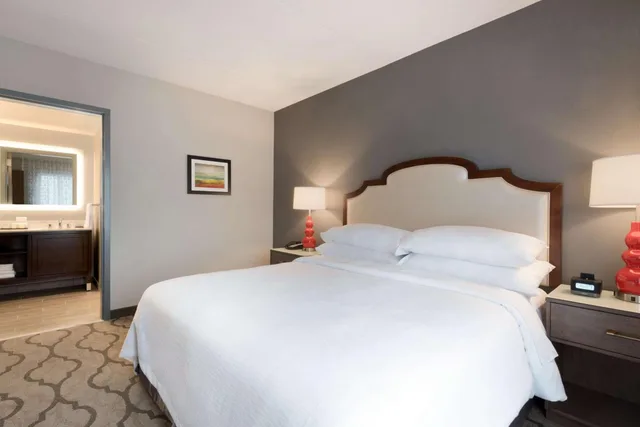 جناح بسرير كينج بغرفتين مع أريكة، Embassy Suites By Hilton Chicago-Naperville 1/4