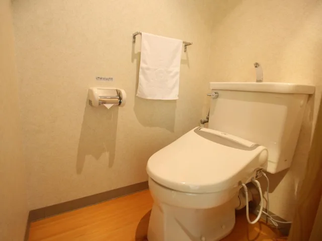Japanese, Apa Hotel Hikone Minami 4/4