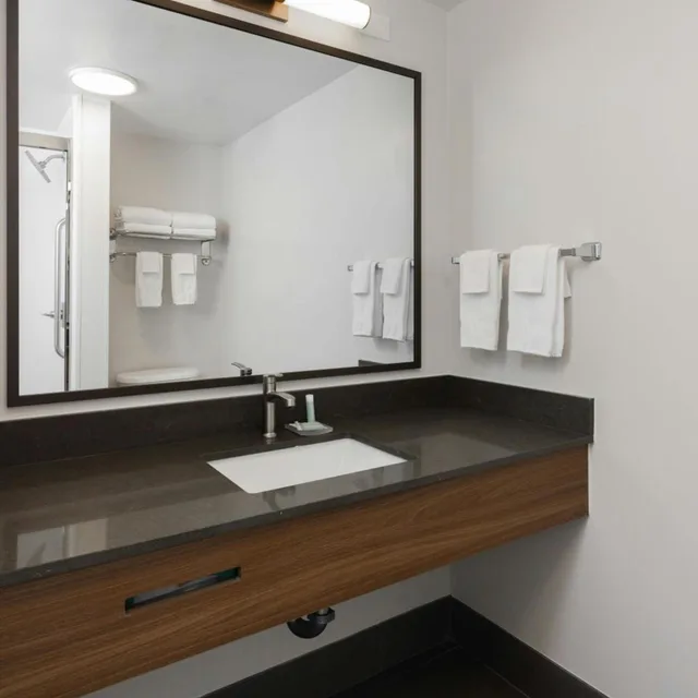 Room, King Bed, Bathtub, Accessible, Fairfield Inn Suites Muskegon Norton Shores 2/5