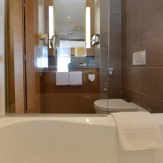 Room, Double Bed, Lake Side, Seehotel Rust 10/10
