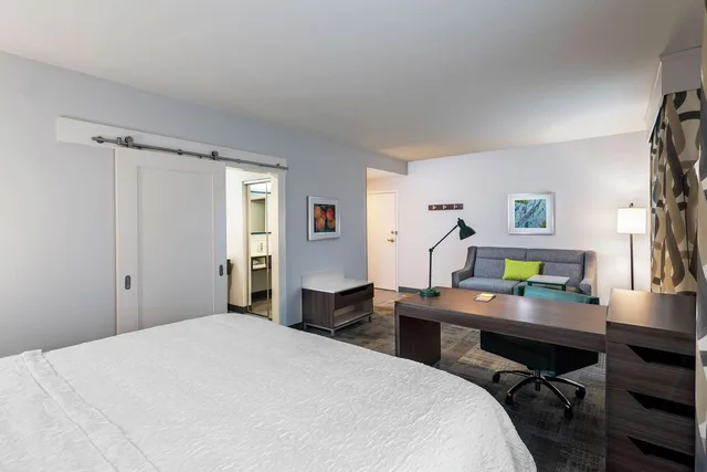 جناح استوديو بسرير كينج لذوي الإعاقة، Hampton Inn & Suites Snellville Atlanta Ne 1/5