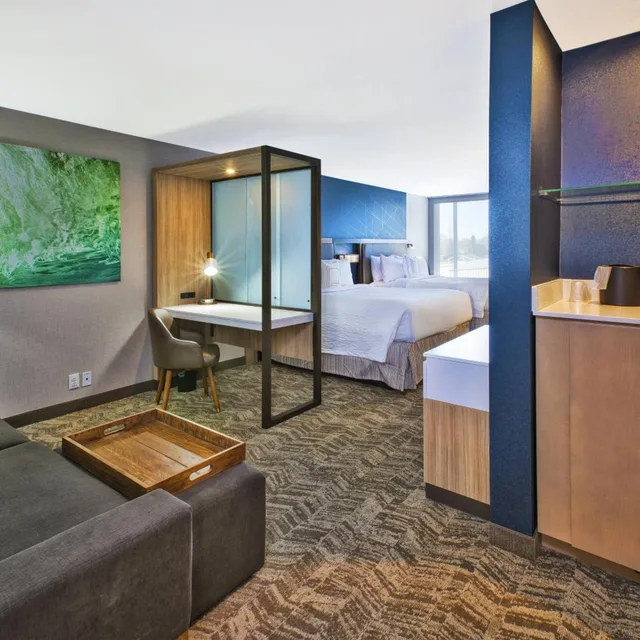 جناح بسريرين كوين مع سرير سحّاب إضافي مع أريكة لذوي الإعاقة، SPRINGHILL SUITES BENTON HARBOR ST. JOSEPH 2/3