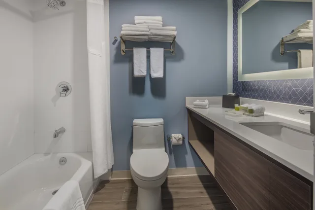 Standard, Single Bed, Holiday Inn & Suites Aguascalientes 3/3