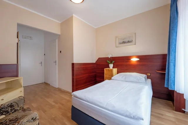 غرفة قياسية مفردة، Sport Resort Hotel Gejzirpark 5/7
