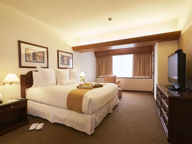 Senior, Single, King Bed، J&A Classic Hotel 1/1