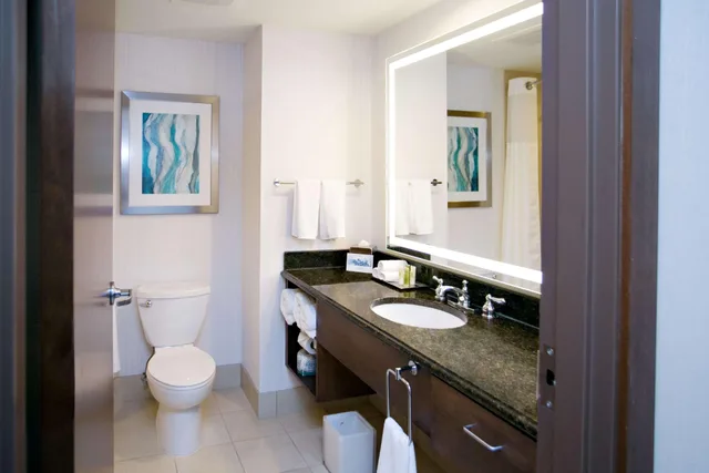 غرفة ديلوكس بسرير كينج مع أريكة في طابق مرتفع، Hilton Minneapolis Bloomington 2/3
