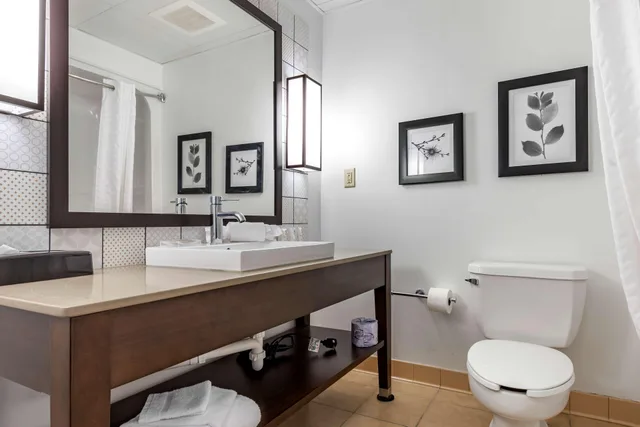جناح بسرير كينج، Country Inn & Suites by Radisson, Aiken South 1/1
