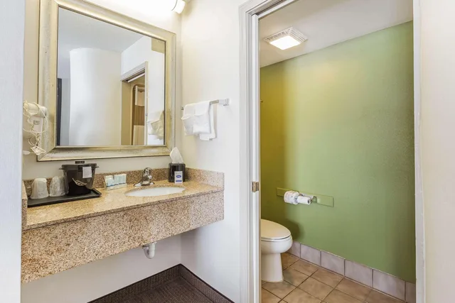 Upgrade, King Bed، Sleep Inn Gaffney At I-85 3/3