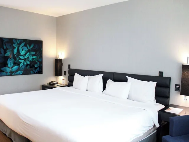 غرفة ديلوكس بسرير كينج، Grand Mercure Sao Paulo Vila Olimpia 5/10