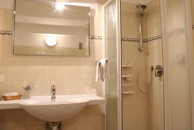 غرفة قياسية بسرير مزدوج أو سريرين منفصلين، Hotel Alexandra 6/10