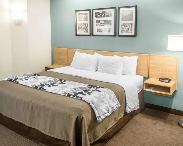 غرفة بسرير كينج مع أريكة، Sleep Inn & Suites Port Clinton 1/4