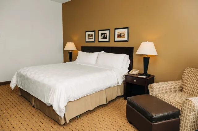 غرفة قياسية بسرير كينج، Holiday Inn San Salvador An Ihg Hotel 9/10