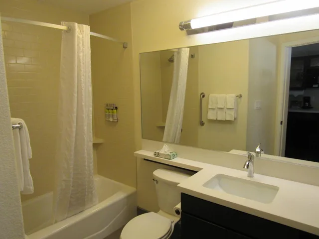 1 Bedroom, Suite, King Bed, Sofa, Accessible, Candlewood Suites COTULLA 3/4