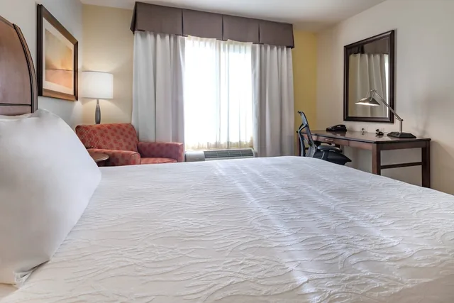 غرفة بسرير كينج بغرفة نوم واحدة لذوي الإعاقة، Hilton Garden Inn Devens Common 3/5