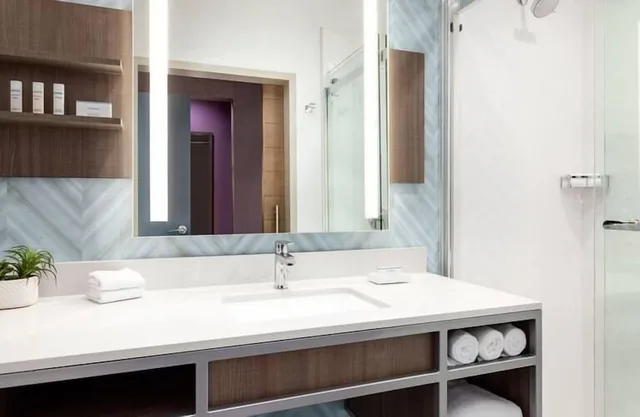 غرفة قياسية بسرير كينج لذوي الإعاقة، Hilton Garden Inn Austin Central 8/8