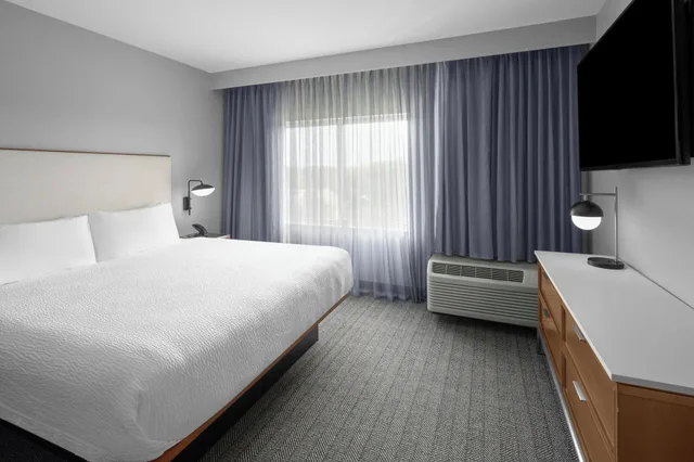 جناح بغرفة نوم واحدة لذوي الإعاقة، Courtyard By Marriott Tampa Oldsmar 1/4