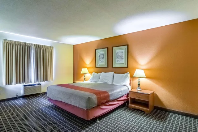 1 King Bed - Accessible, Nsmk, Micfridge، Motel6 Grand Rapids, MI - Northeast 3/10