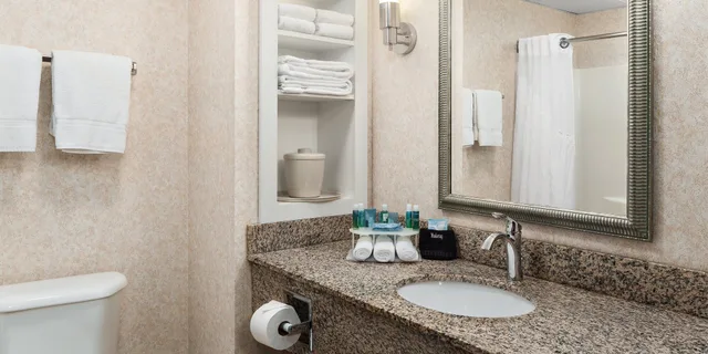 Suite, King Bed, Accessible, Holiday Inn Express Grove City (Outlet Center) 1/1