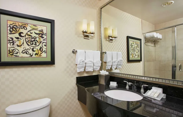 جناح بسرير كينج بغرفة نوم واحدة، Hilton Garden Inn Rockville-Gaithersburg 4/5