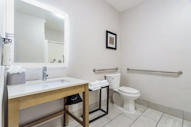غرفة قياسية بسرير كينج لذوي الإعاقة، Holiday Inn Express & Suites Memphis Arpt Elvis Presley Blv 7/8