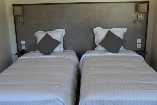 غرفة قياسية بسريرين منفصلين، Logis Le Grand Hotel 2/2