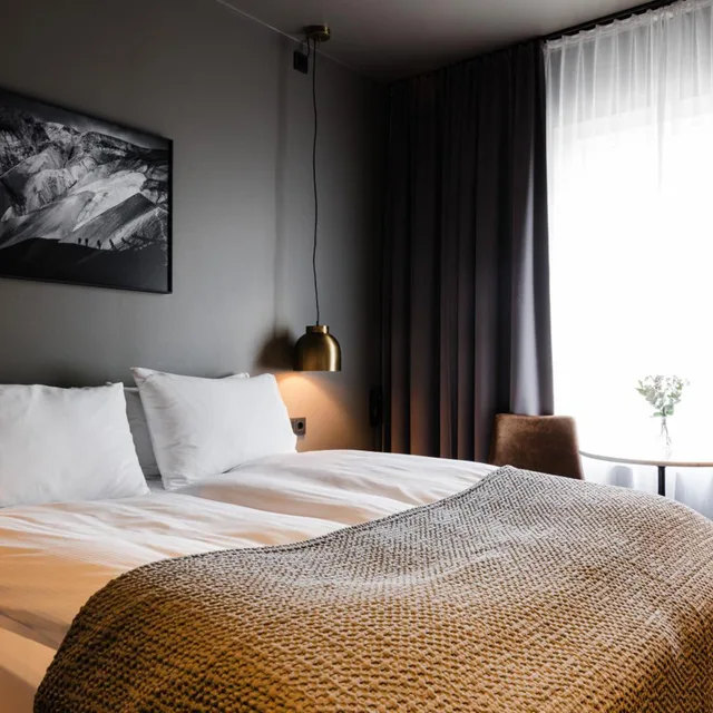 غرفة سوبيريور بسرير مزدوج، Hotel Odinsve 4/10