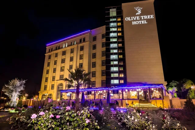Room, Double or Twin Bed, Olive Tree Hotel 1/1