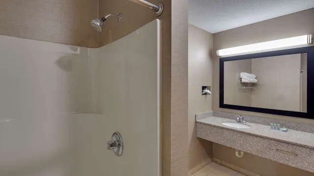 غرفة قياسية بسرير كينج لذوي الإعاقة، Best Western Pontiac Inn 6/6