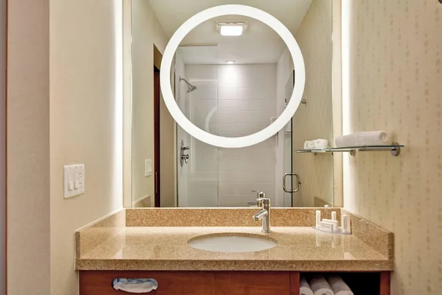 جناح بسرير كينج مع سرير سحّاب إضافي لذوي الإعاقة، Springhill Suites By Marriott Denver Anschutz Medical Campus 6/8