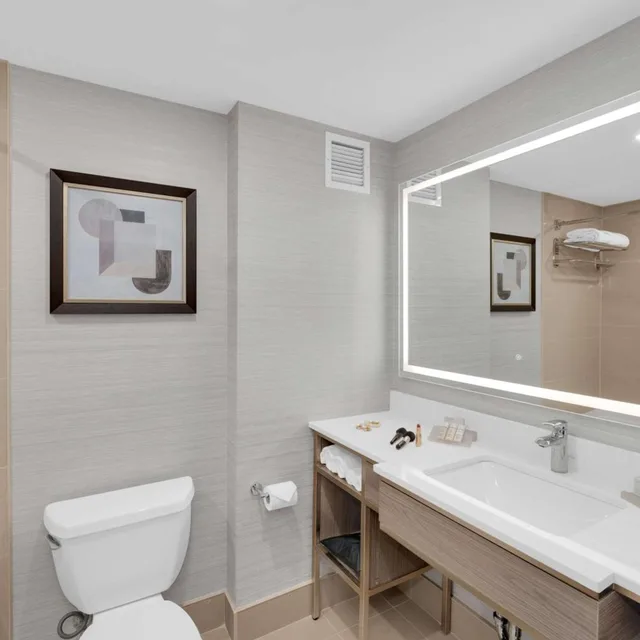 غرفة بريميوم بسرير كينج وسريرين كوين، Hilton Garden Inn Brampton 4/5