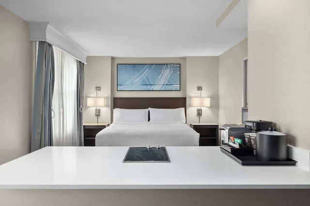جناح بسرير كينج مع أريكة بحوض استحمام لذوي الإعاقة، Homewood Suites by Hilton Downers Grove Chicago IL 1/3