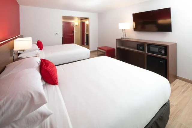 غرفة قياسية بسرير كوين وسرير كوين، Radisson Hotel Orlando Lake Buena Vista South 1/4